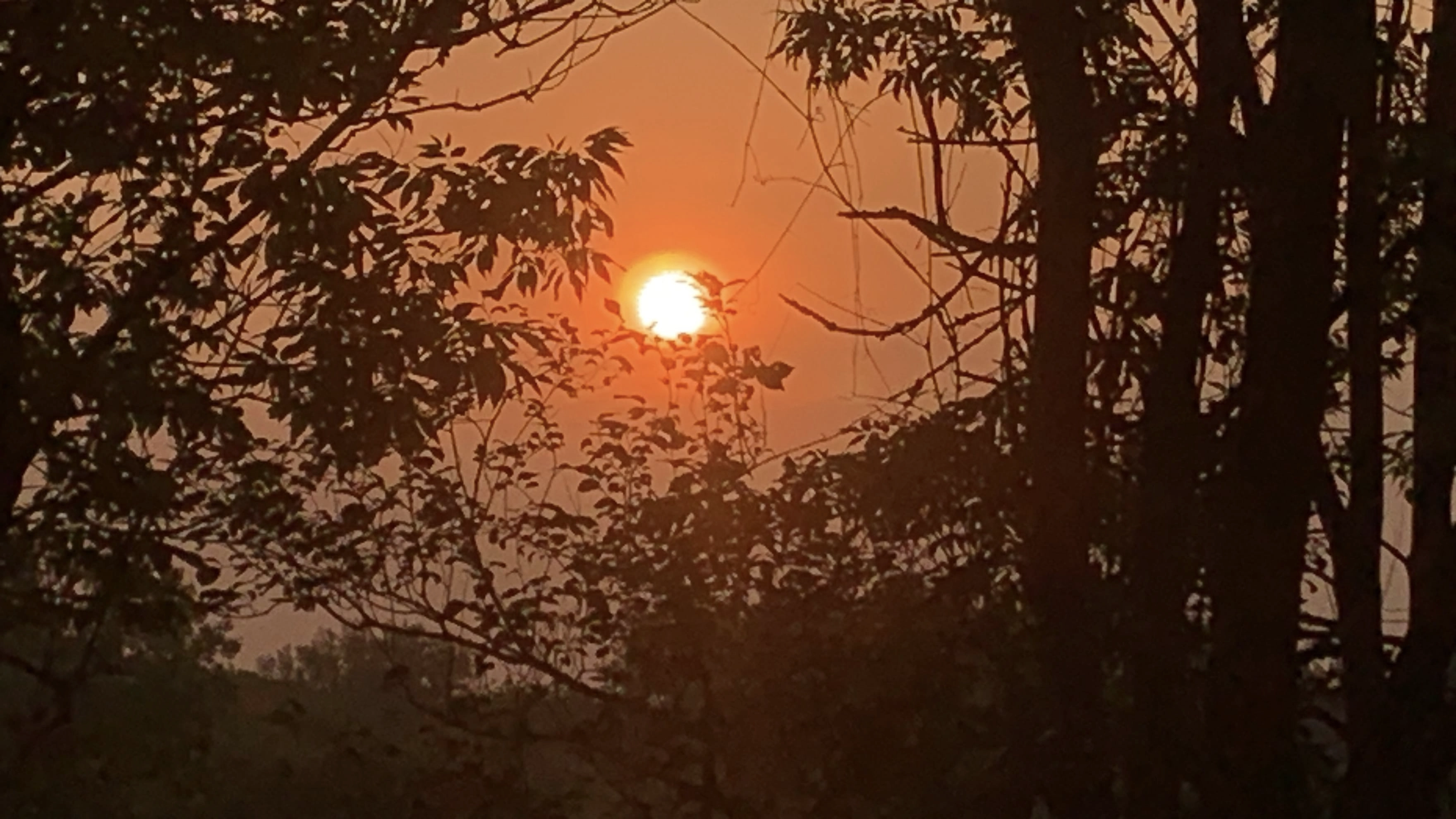Sunrise Sacred Red: The Enchantment of Dawn VIDEOS OF A DAWN